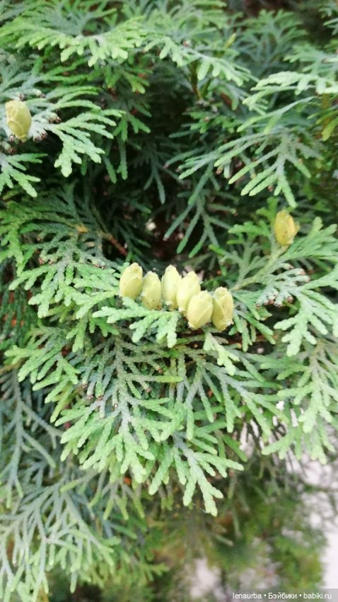 Мы в санатории — Болталка и разговоры обо всем: жизнь