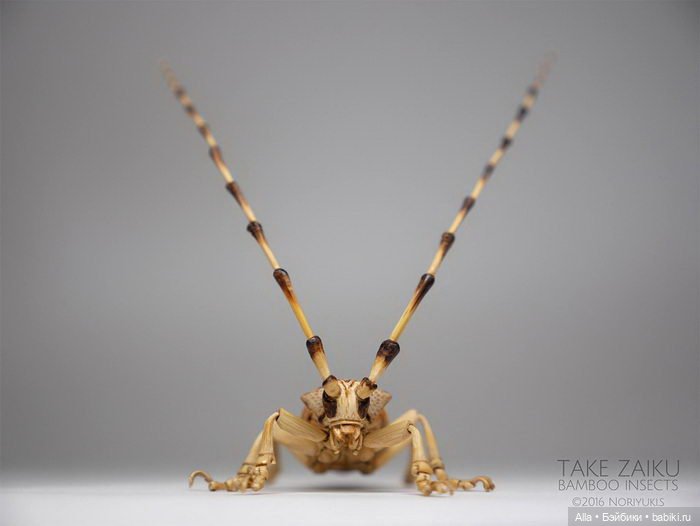 Скульптуры насекомых Noriyuki Saitoh, Япония