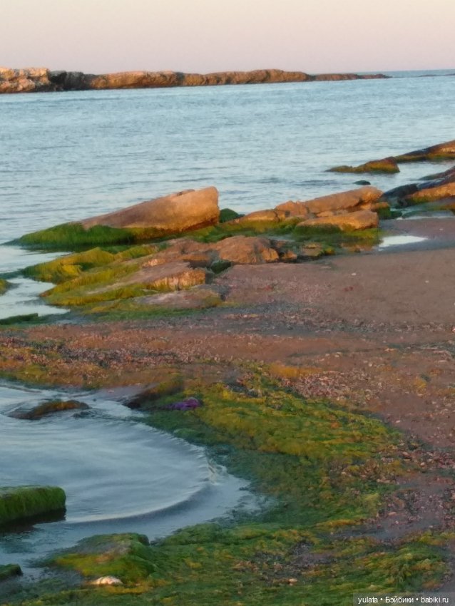 О, море, море! Часть2 — Домашние фото авторских игрушек: Тедди (фото 10)