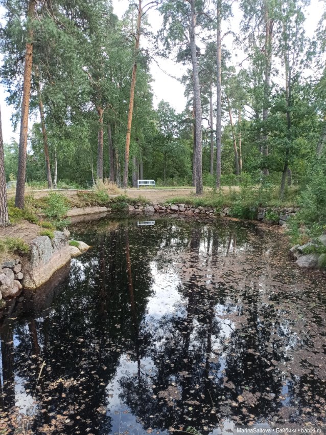 Очарование парка Монрепо — Туризм и путешествия: фотоотчеты из поездок