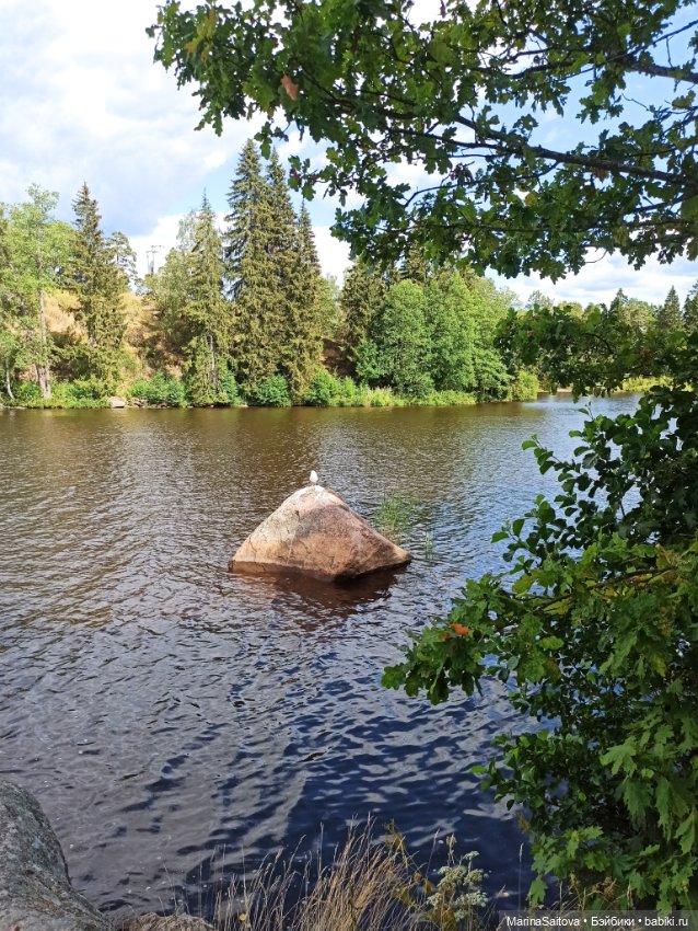 Очарование парка Монрепо — Туризм и путешествия: фотоотчеты из поездок