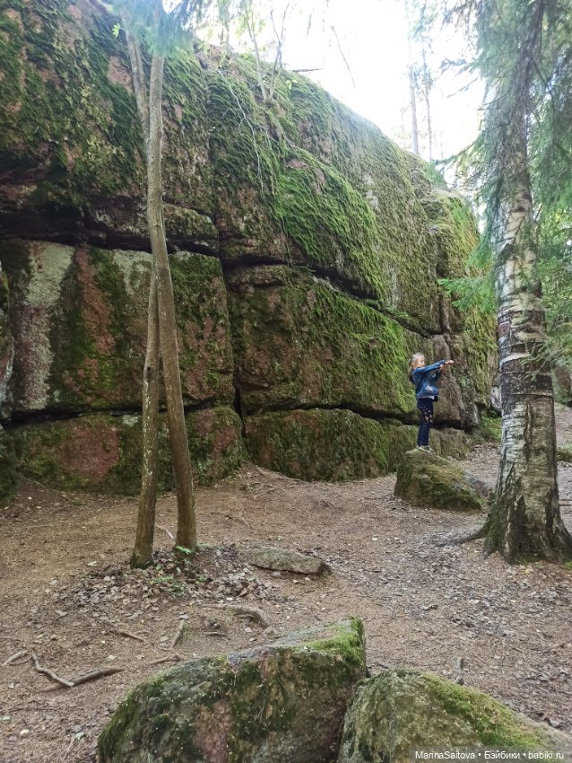 Очарование парка Монрепо — Туризм и путешествия: фотоотчеты из поездок (фото 2)