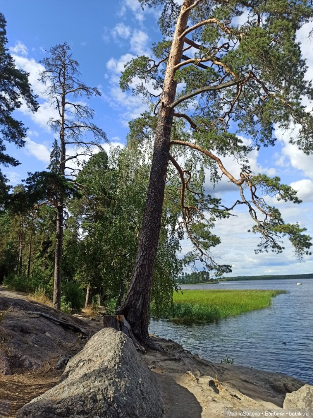 Очарование парка Монрепо — Туризм и путешествия: фотоотчеты из поездок