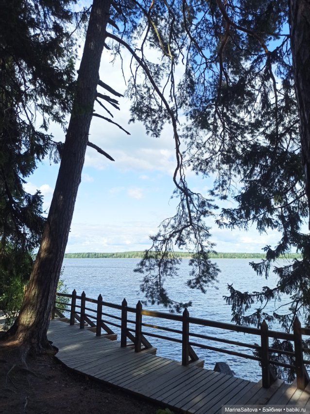 Очарование парка Монрепо — Туризм и путешествия: фотоотчеты из поездок (фото 9)