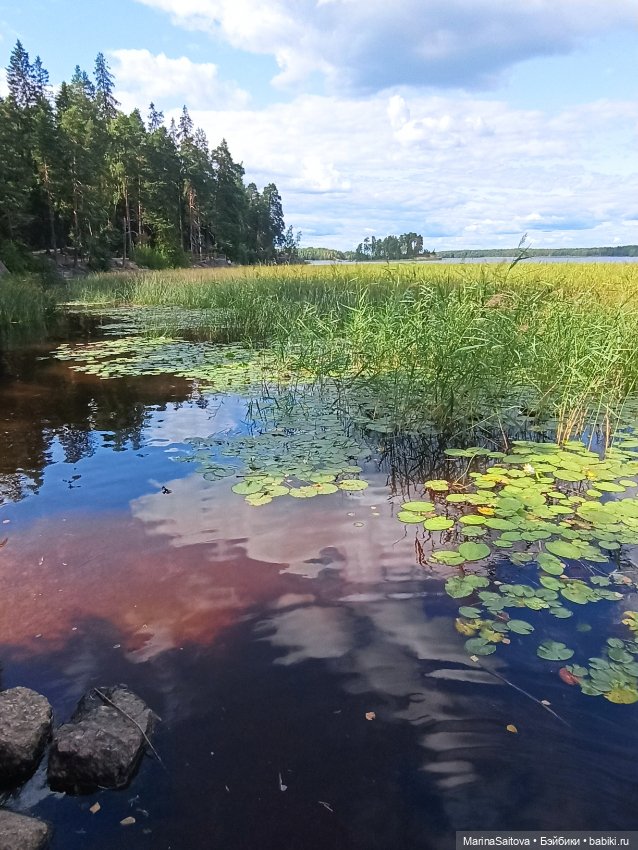 Очарование парка Монрепо — Туризм и путешествия: фотоотчеты из поездок