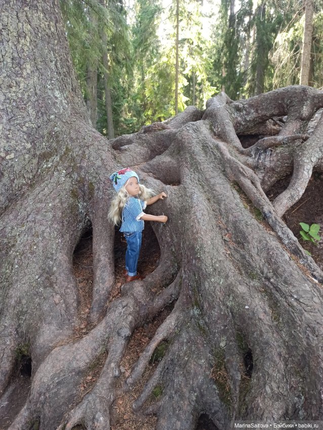 Очарование парка Монрепо — Туризм и путешествия: фотоотчеты из поездок (фото 7)