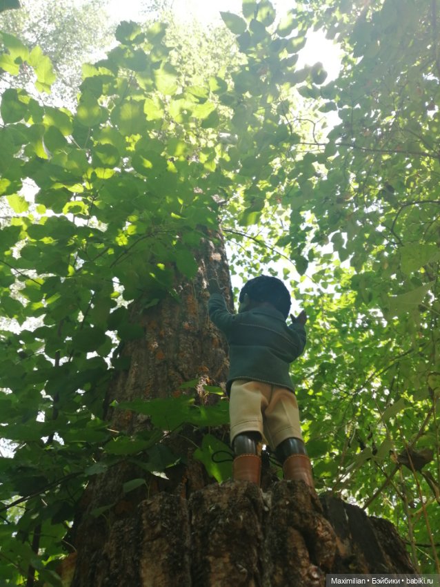 Максимка в лесу. Негритенок СССР (фото 6)