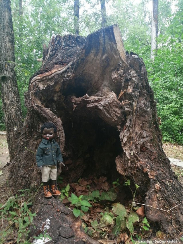 Максимка в лесу. Негритенок СССР (фото 2)