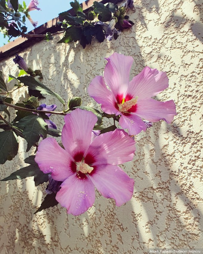 Зайка тедди — Авторские мишки Тедди и друзья: фото (фото 8)