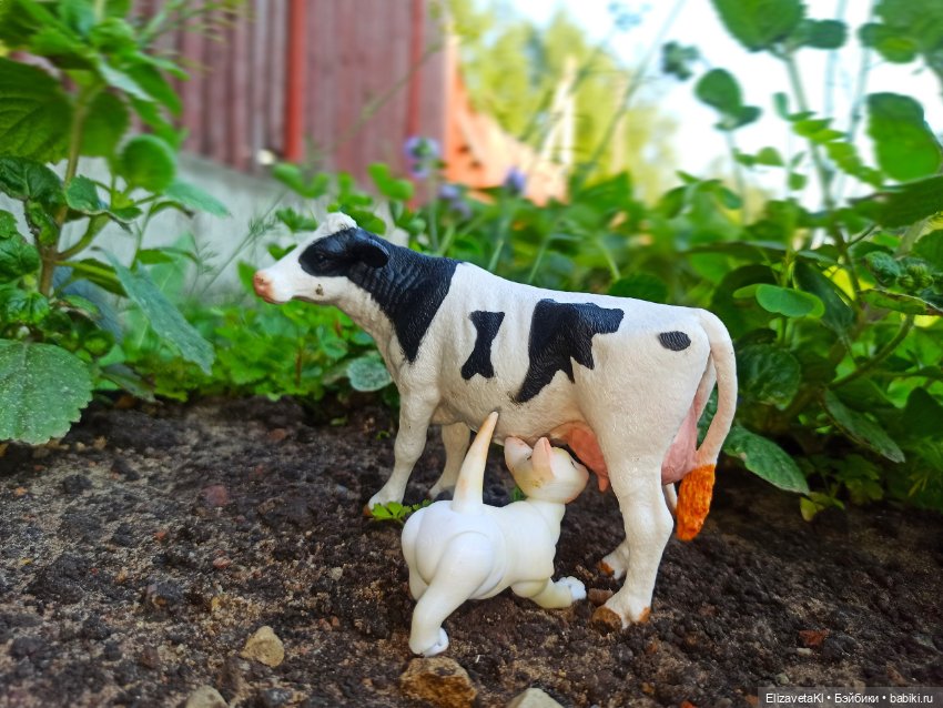 Молочка захотелось. Realpuki. 124 часть (фото 2)