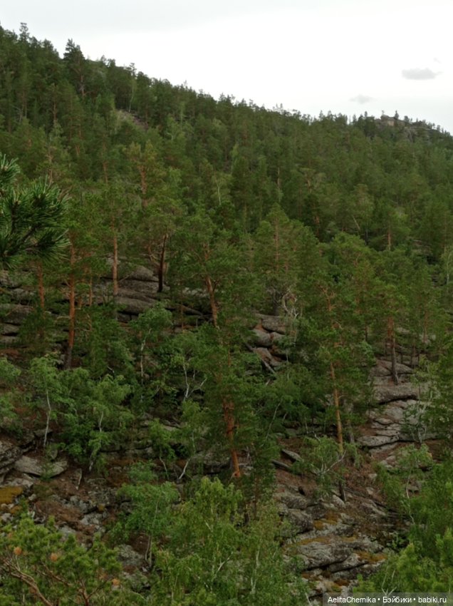 Николас. Моя новая любовь (фото 5)