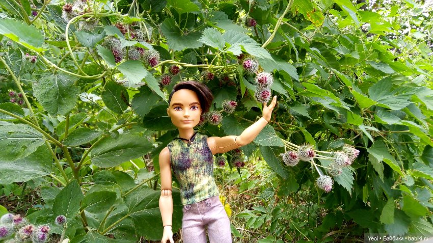 Фото Хантера ЭАХ, во дворе