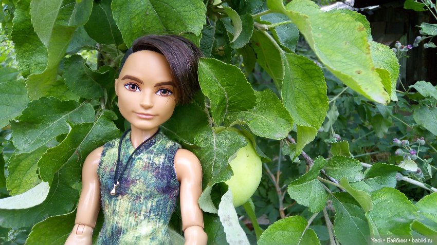 Фото Хантера ЭАХ, во дворе