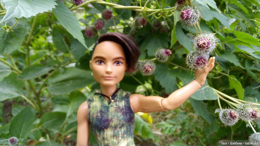 Фото Хантера ЭАХ, во дворе