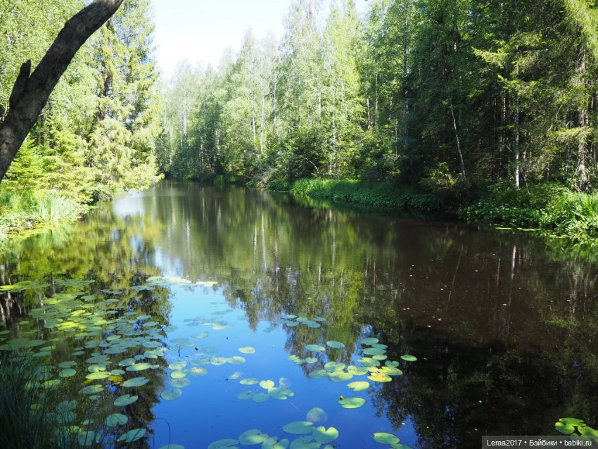 Путешествие Лили по Карелии