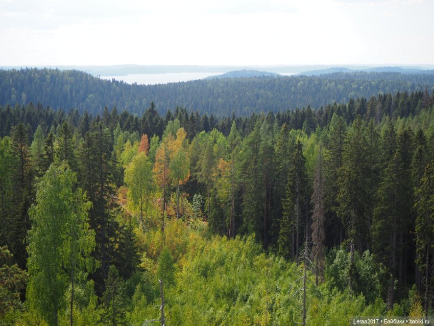 Путешествие Лили по Карелии