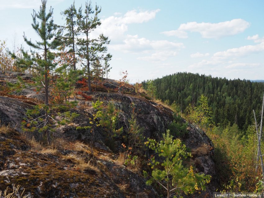 Путешествие Лили по Карелии