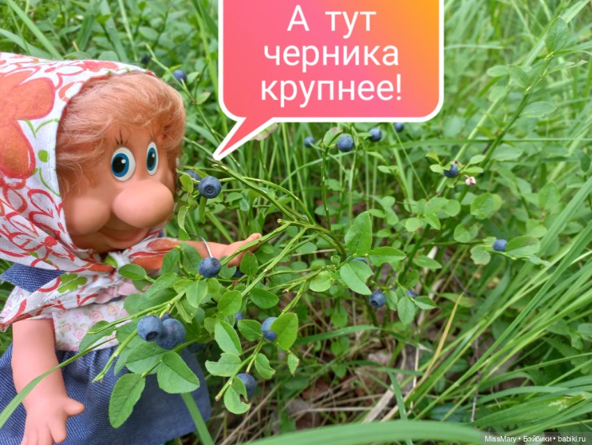 Весёлые картинки. В лес по ягоды. Часть 1