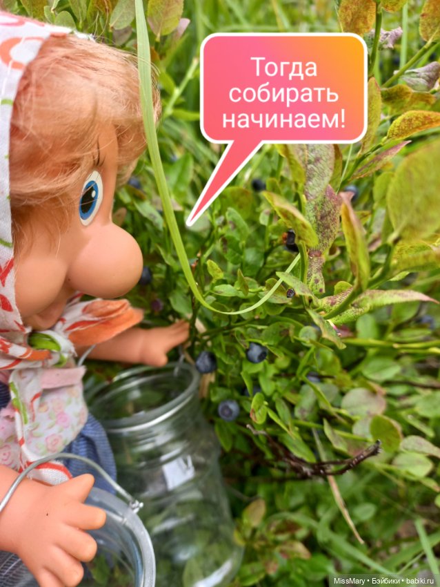 Весёлые картинки. В лес по ягоды. Часть 1 (фото 9)