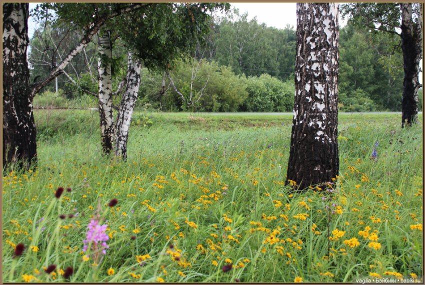 Вечерняя рыбалка — Болталка и разговоры обо всем: жизнь