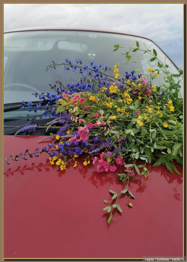 Вечерняя рыбалка — Болталка и разговоры обо всем: жизнь