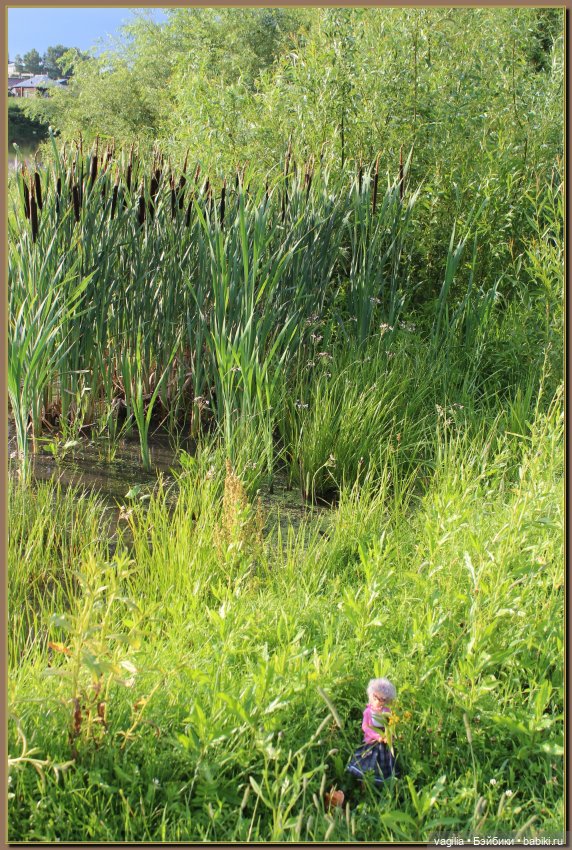 Вечерняя рыбалка — Болталка и разговоры обо всем: жизнь (фото 10)