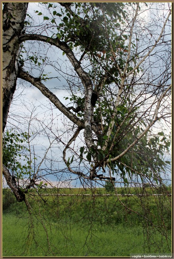 Вечерняя рыбалка — Болталка и разговоры обо всем: жизнь