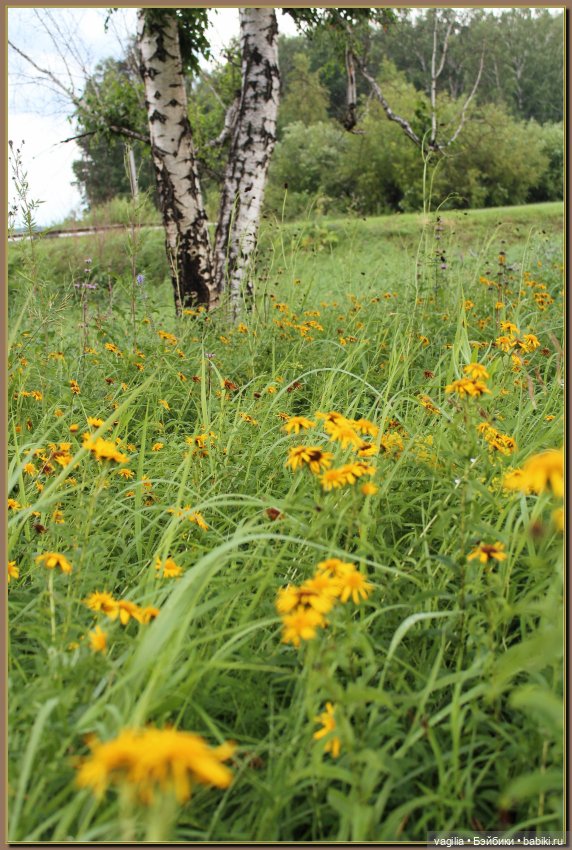 Вечерняя рыбалка — Болталка и разговоры обо всем: жизнь