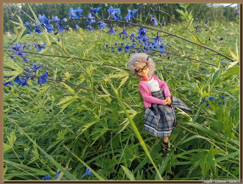 Вечерняя рыбалка — Болталка и разговоры обо всем: жизнь