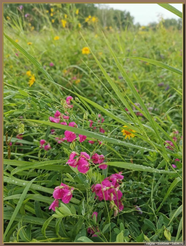 Вечерняя рыбалка — Болталка и разговоры обо всем: жизнь