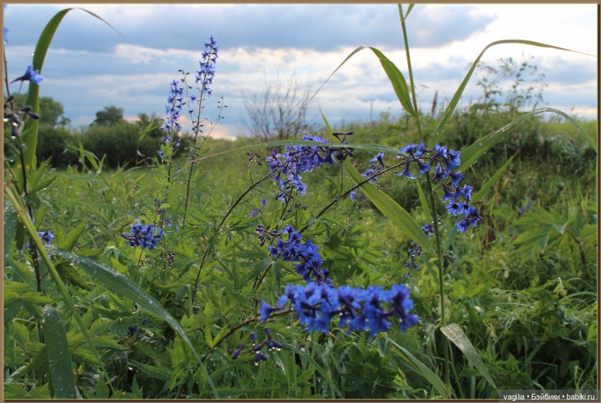 Вечерняя рыбалка — Болталка и разговоры обо всем: жизнь