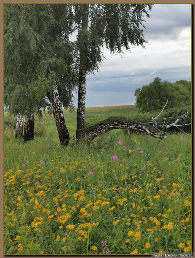 Вечерняя рыбалка — Болталка и разговоры обо всем: жизнь