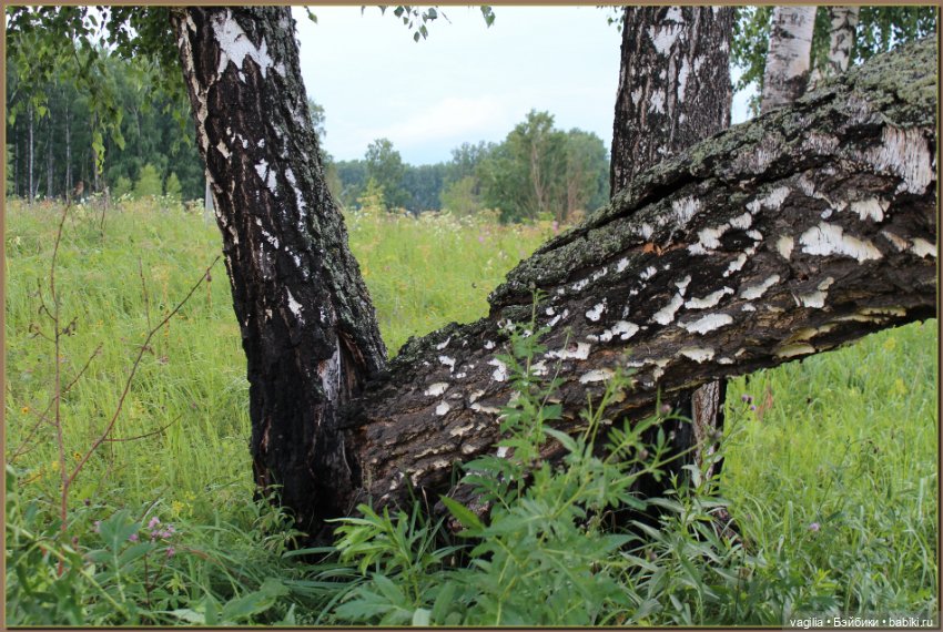 Вечерняя рыбалка — Болталка и разговоры обо всем: жизнь