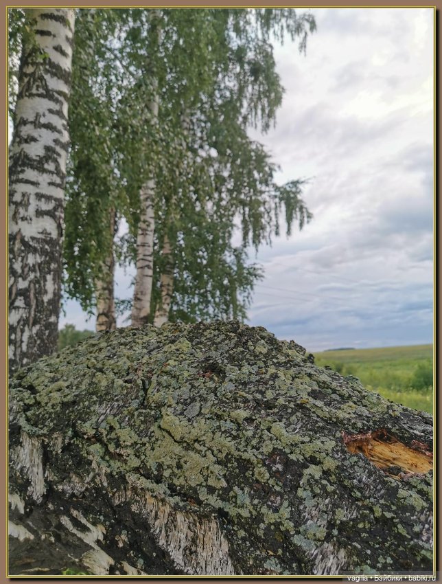 Вечерняя рыбалка — Болталка и разговоры обо всем: жизнь