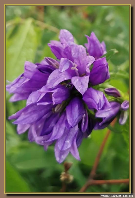 Вечерняя рыбалка — Болталка и разговоры обо всем: жизнь