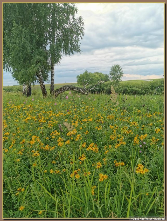 Вечерняя рыбалка — Болталка и разговоры обо всем: жизнь