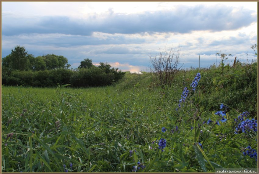 Вечерняя рыбалка — Болталка и разговоры обо всем: жизнь