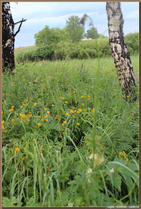 Вечерняя рыбалка — Болталка и разговоры обо всем: жизнь