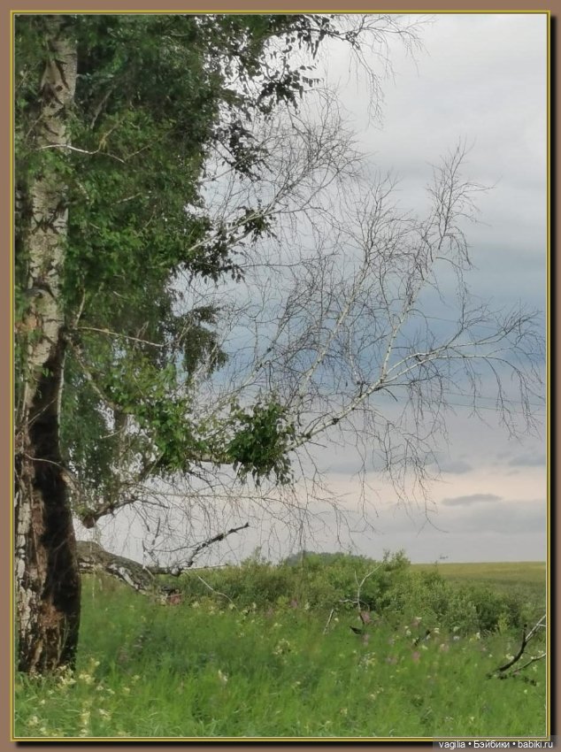 Вечерняя рыбалка — Болталка и разговоры обо всем: жизнь