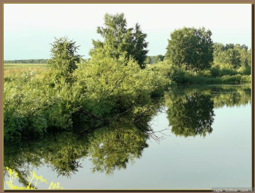 Вечерняя рыбалка — Болталка и разговоры обо всем: жизнь