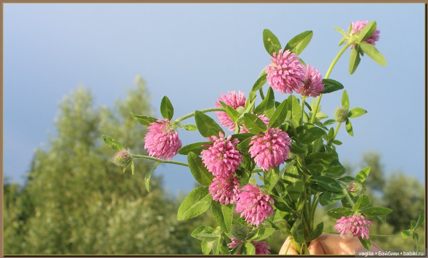 Вечерняя рыбалка — Болталка и разговоры обо всем: жизнь