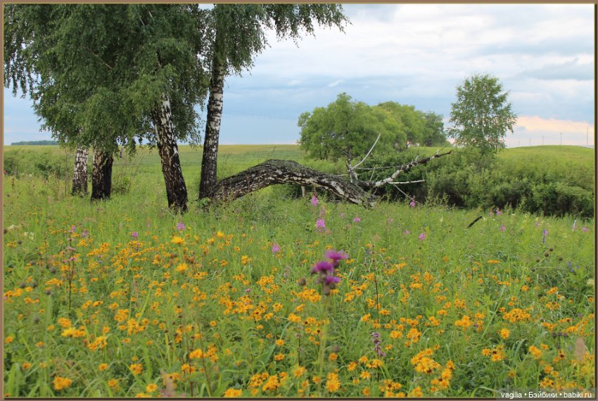 Вечерняя рыбалка — Болталка и разговоры обо всем: жизнь