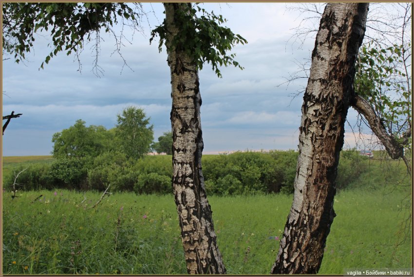 Вечерняя рыбалка — Болталка и разговоры обо всем: жизнь