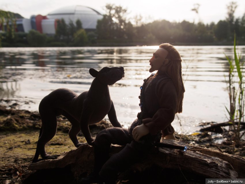 Амрит, Красноглазый, ящерка (фото 7)