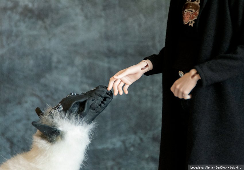 Ян и немного магии — Куклы Dollshe Craft (Доллше): BJD (БЖД) (фото 6)