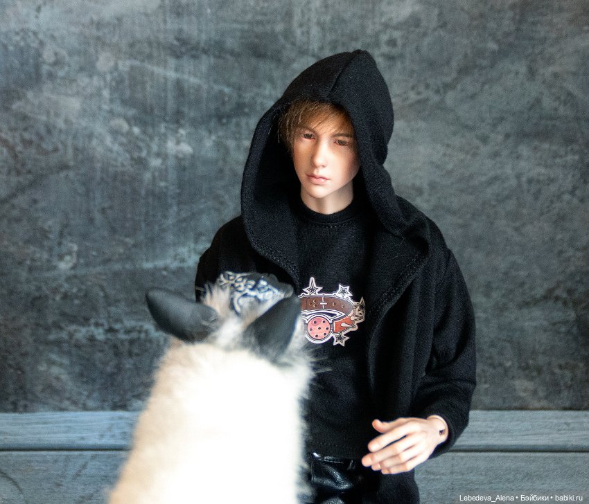 Ян и немного магии — Куклы Dollshe Craft (Доллше): BJD (БЖД) (фото 8)