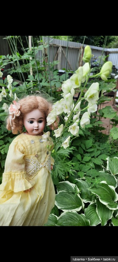 И вновь моя звёздочка Эстелечка (фото 5)