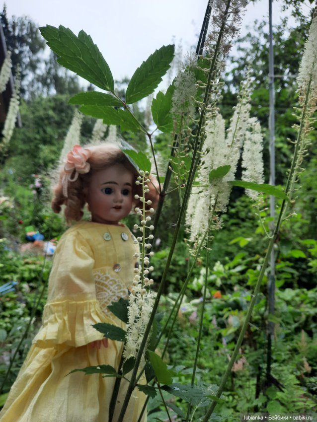 И вновь моя звёздочка Эстелечка (фото 4)