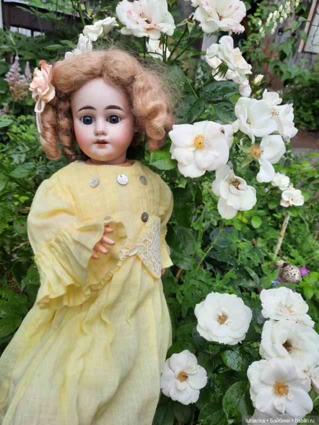 И вновь моя звёздочка Эстелечка