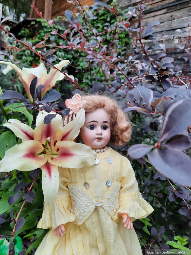 И вновь моя звёздочка Эстелечка (фото 8)